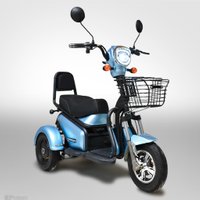 tricycle électrique bleu